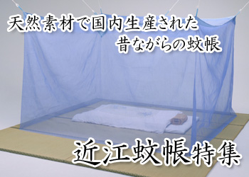 近江蚊帳